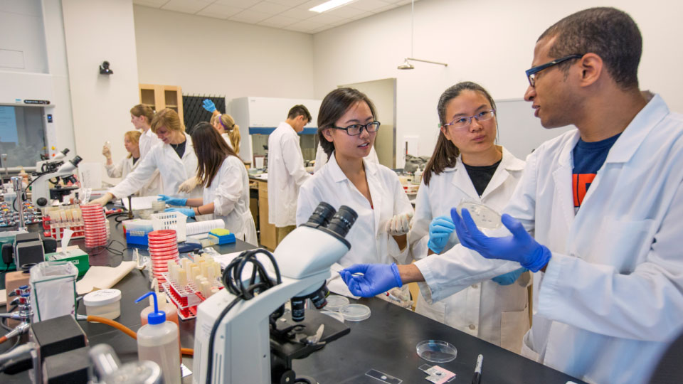 Graduate students in a laboratory classroom
