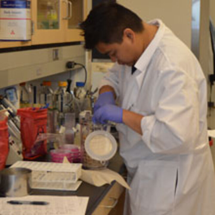 A scientist working with a sample in a lab